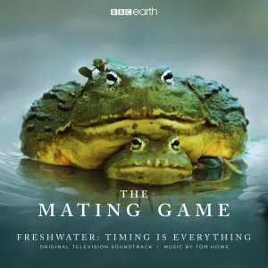 Pochette de The Mating Game - Freshwater: Timing Is Everything (Original Television Soundtrack) de Tom Howe