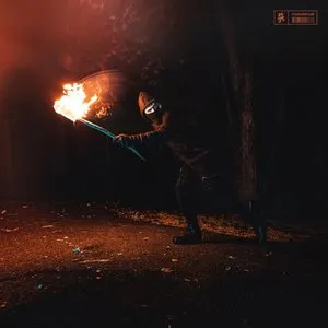 Pochette de Stealing Fire de Virtual Riot