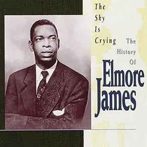 Pochette History of Elmore James, Volume 1