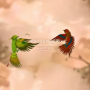 Pochette de Beautiful Birds de Passenger