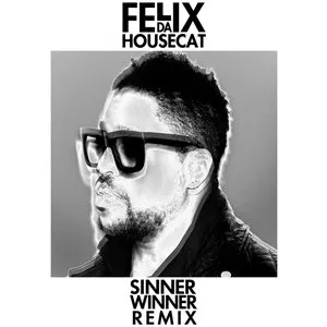 Pochette de Sinner Winner (Eagles & Butterflies remix) de Felix da Housecat