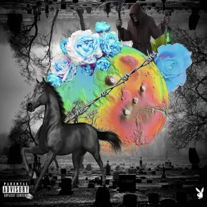 Pochette de Darkhorse de Destroy Lonely