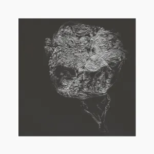Pochette de Entities Inertias Faint Beings de David Toop