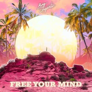 Pochette de Free Your Mind de Big Gigantic