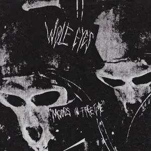 Pochette de Moods In Free Time de Wolf Eyes