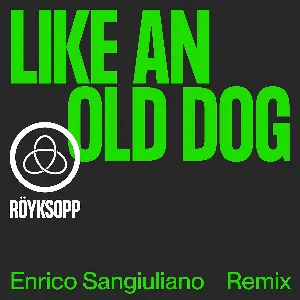 Pochette Like an Old Dog (Enrico Sangiuliano remix)