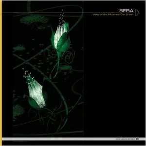 Pochette de Valley of the Moomins / Car Crash de Seba