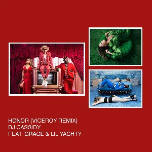 Pochette Honor (Viceroy remix)