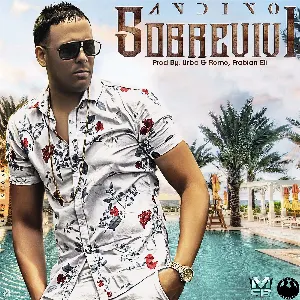 Pochette de Sobreviví de Andino