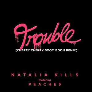 Pochette Trouble (Cherry Cherry Boom Boom remix)