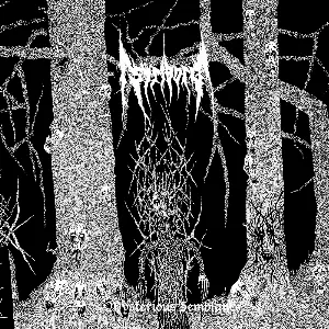 Pochette de Mysterious Semblance de Striborg
