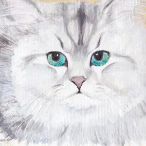 Pochette de 동화일기 de The Koxx