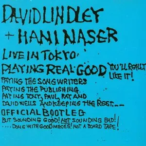 Pochette de Playing Real Good de David Lindley