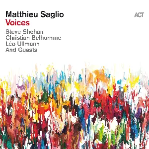 Pochette de Voices de Steve Shehan