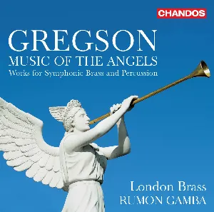 Pochette de Music of the Angels de Rumon Gamba