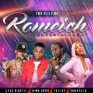 Pochette de The Best of Romeich Ent de Vybz Kartel