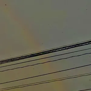 Pochette de Kugatsumadenohakobi de Ueda Takayasu