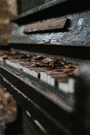 Pochette de Dead Piano Music de Mike Benoit