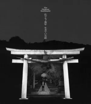 Pochette de 化ケモノ青年 / 生きている証 de Elephant Kashimashi