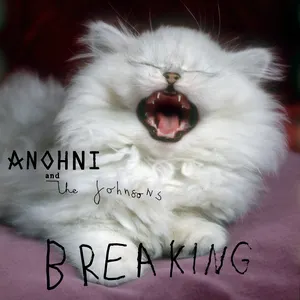 Pochette de Breaking de ANOHNI and the Johnsons