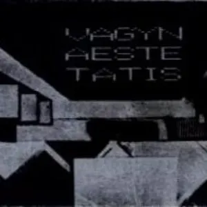 Pochette de Vagynaestetatis de Le Syndicat