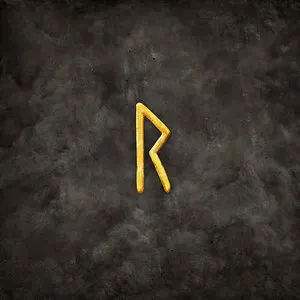 Pochette de Raido de Wardruna