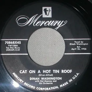 Pochette Cat on a Hot Tin Roof / The First Time