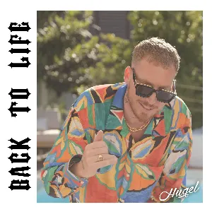 Pochette de Back to Life de HUGEL