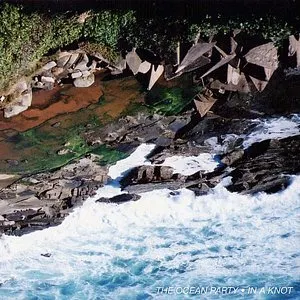 Pochette de In a Knot de The Ocean Party
