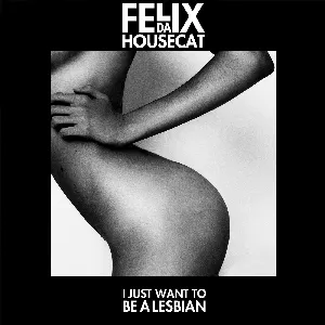 Pochette de I Just Want to Be a Lesbian de Felix da Housecat