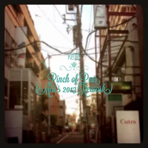 Pochette de Pinch of Peer (Miii's 2013 Rework) de Kettel