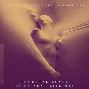 Pochette de Immortal Lover (In My Next Life Mix) de Andrew Bayer