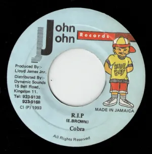Pochette de R.I.P. de Mad Cobra