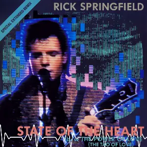 Pochette State Of The Heart