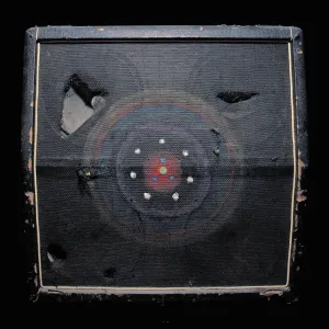 Pochette de De-Evolution de Rick White