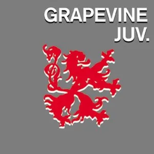 Pochette de ジュブナイル de GRAPEVINE