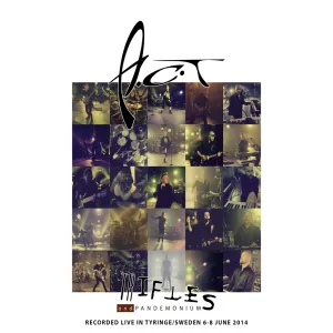 Pochette de Trifles and Pandemonium de A.C.T
