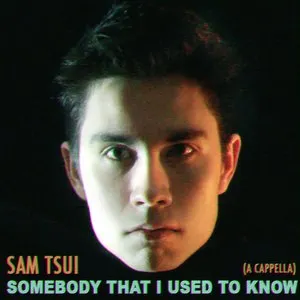 Pochette de Somebody That I Used to Know (a cappella) de Sam Tsui