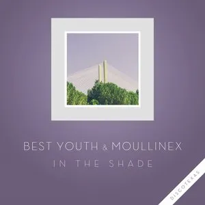 Pochette de In the Shade de Moullinex