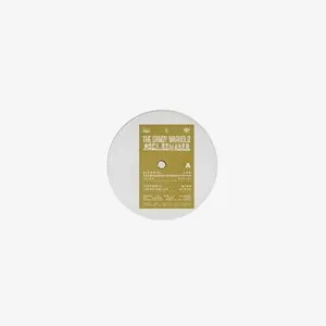 Pochette de ROCK REMAKER de The Dandy Warhols