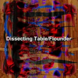 Pochette de Flounder de Dissecting Table