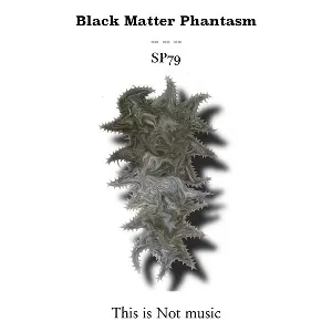 Pochette de This Is Not Music de Black Matter Phantasm