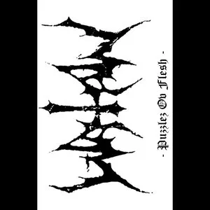 Pochette de Puzzles ov Flesh de Watain