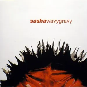 Pochette de Wavy Gravy de Sasha