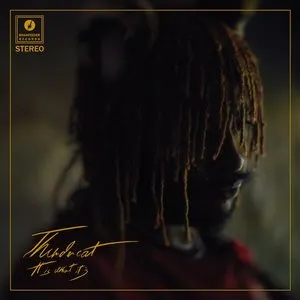 Pochette de Innerstellar Love de Thundercat