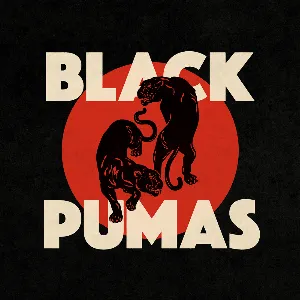 Pochette de Black Pumas de Black Pumas