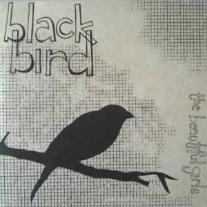 Pochette Black Bird
