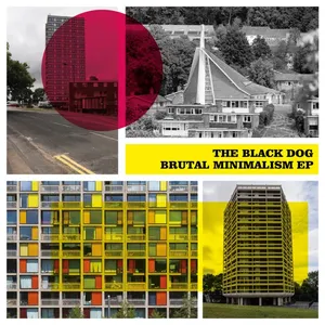 Pochette de Brutal Minimalism EP de The Black Dog