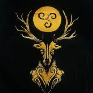 Pochette de Roots / Aura de Saor