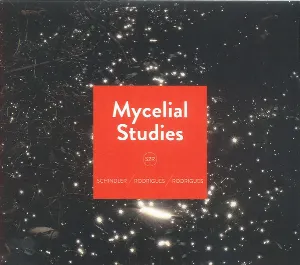Pochette de Mycelial Studies de Ernesto Rodrigues - Guilherme Rodrigues